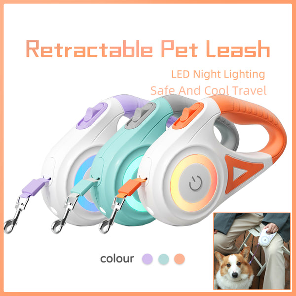 Dog Retractable Leash And Dog Collar